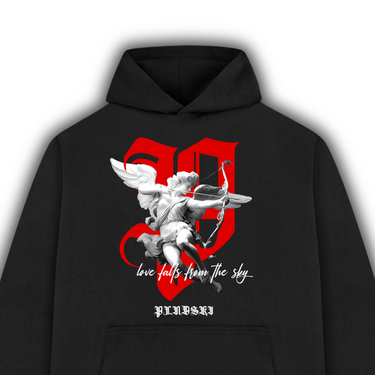 From The Sky 25 - Hoodie